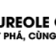 Công ty Phát triển Phần mềm Xây dựng AUREOLE